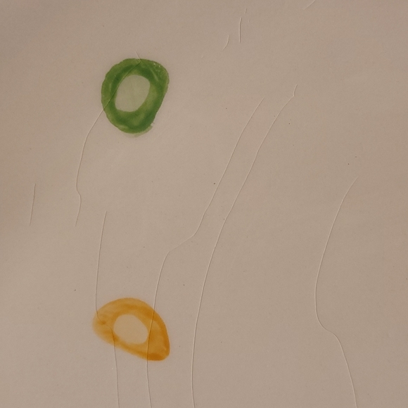 Pair of Better Homes and Gardens Home Interior Collection Oval Plates - Picture 14 of 14